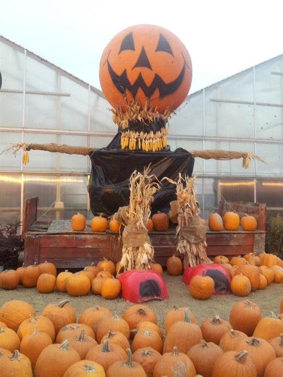 Zywiec S Landscape Garden Center Minnesota Haunted Houses Prev